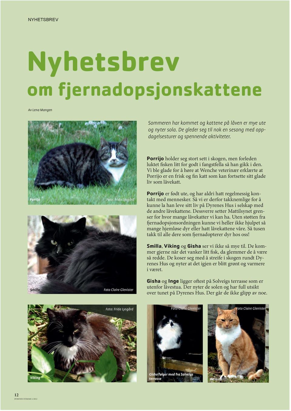 Vi ble glade for å høre at Wenche veterinær erklærte at Porrijo er en frisk og fin katt som kan fortsette sitt glade liv som låvekatt.