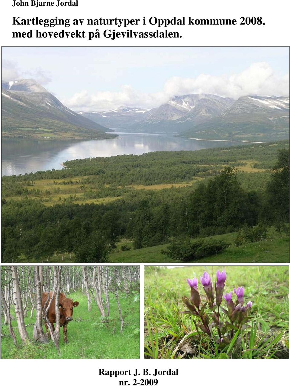 med hovedvekt på Gjevilvassdalen.