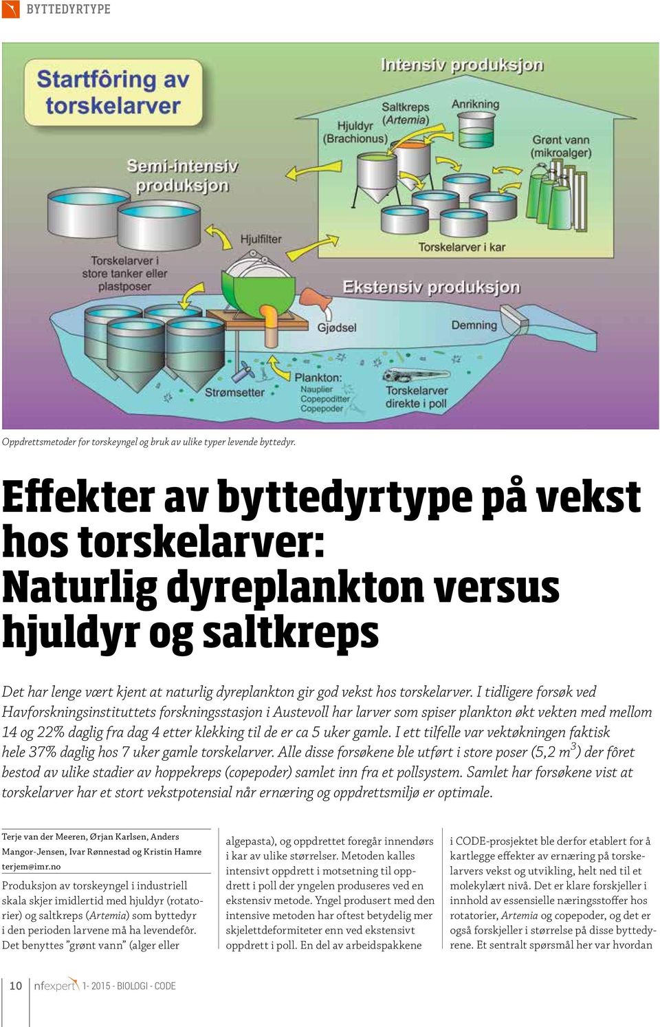 I tidligere forsøk ved Havforskningsinstituttets forskningsstasjon i Austevoll har larver som spiser plankton økt vekten med mellom 14 og 22% daglig fra dag 4 etter klekking til de er ca 5 uker gamle.