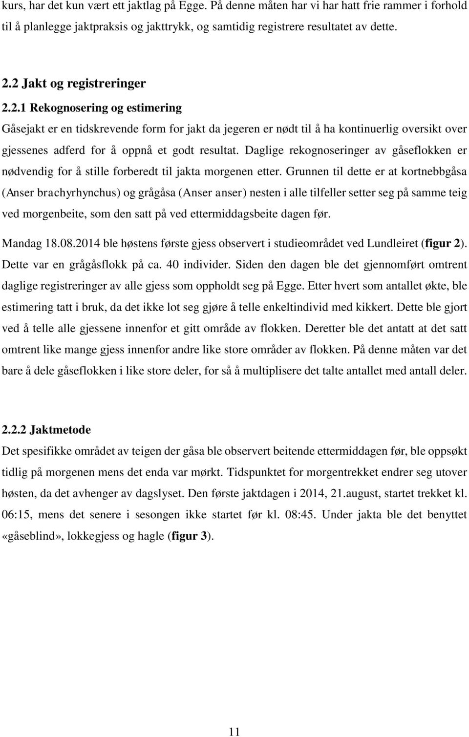 Daglige rekognoseringer av gåseflokken er nødvendig for å stille forberedt til jakta morgenen etter.