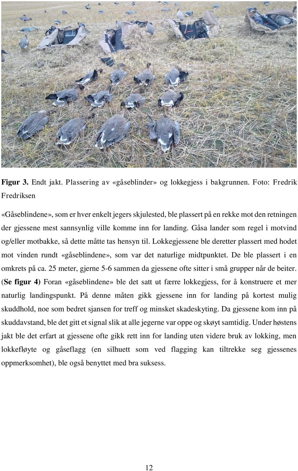 Gåsa lander som regel i motvind og/eller motbakke, så dette måtte tas hensyn til. Lokkegjessene ble deretter plassert med hodet mot vinden rundt «gåseblindene», som var det naturlige midtpunktet.