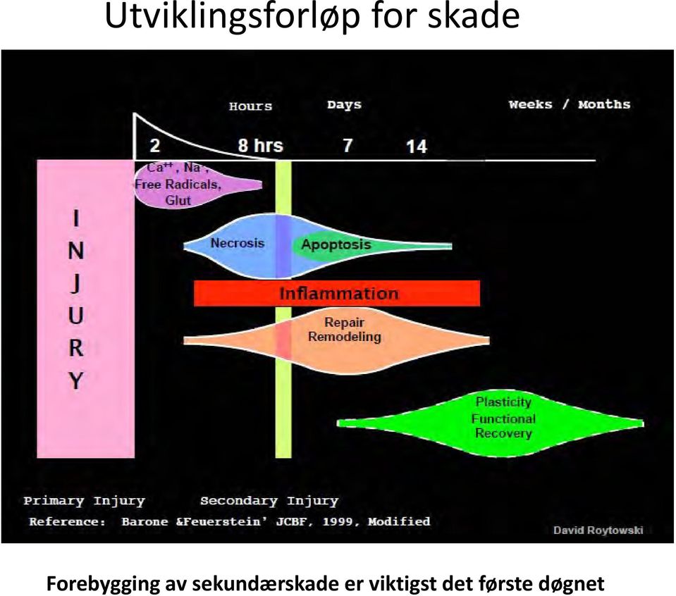 sekundærskade er