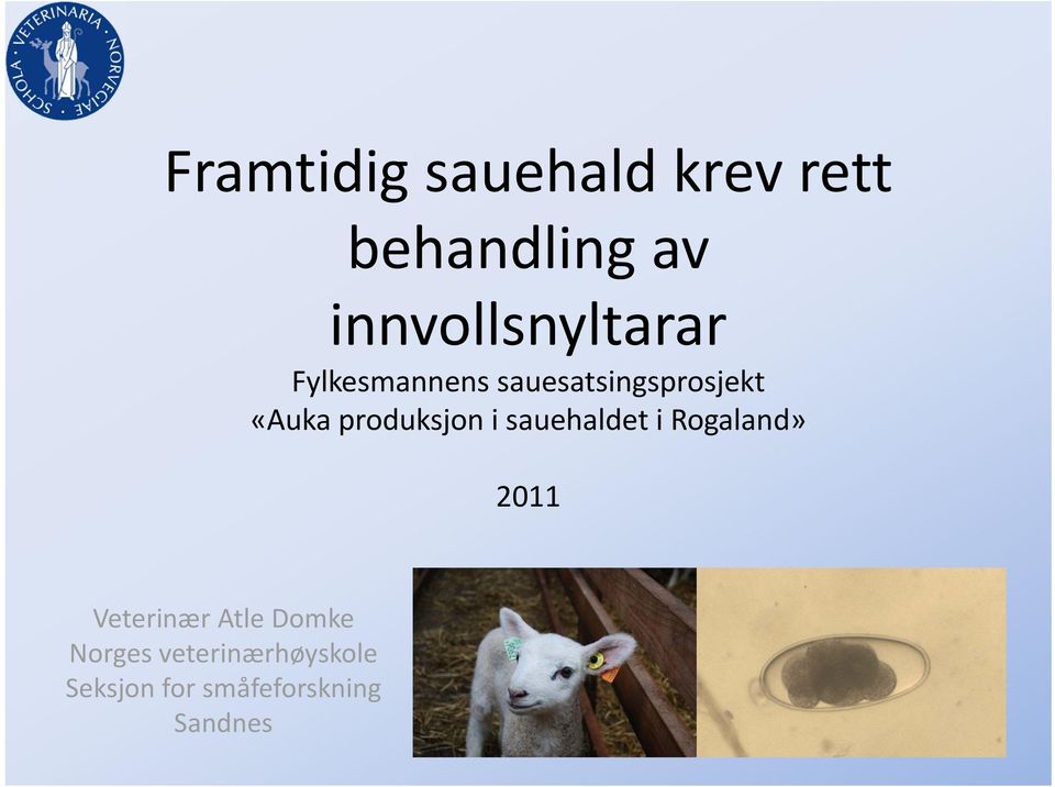 «Auka produksjon i sauehaldet i Rogaland» 2011
