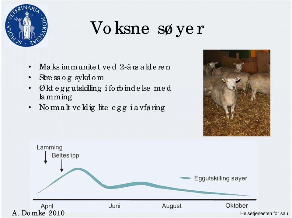 i forbindelse med lamming Normalt veldig