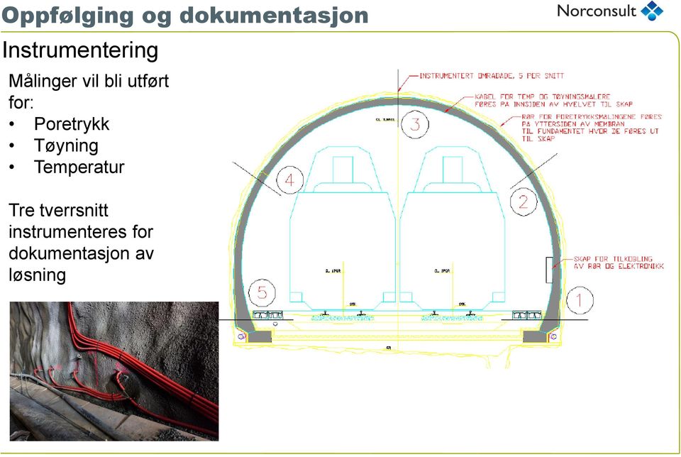 for: Poretrykk Tøyning Temperatur Tre