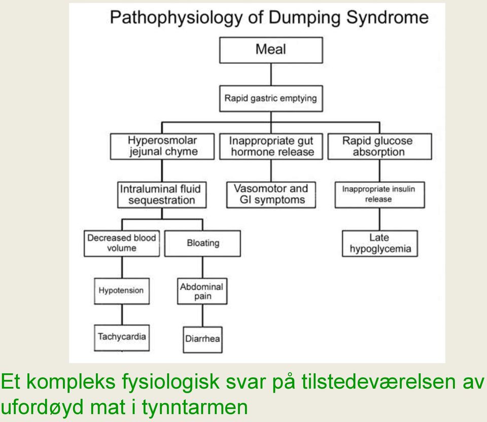 tilstedeværelsen av