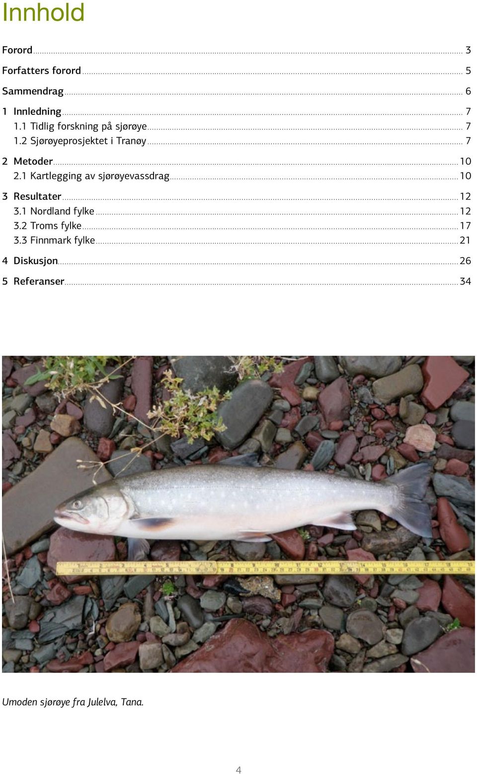 1 Kartlegging av sjørøyevassdrag...10 3 Resultater...12 3.1 Nordland fylke...12 3.2 Troms fylke.