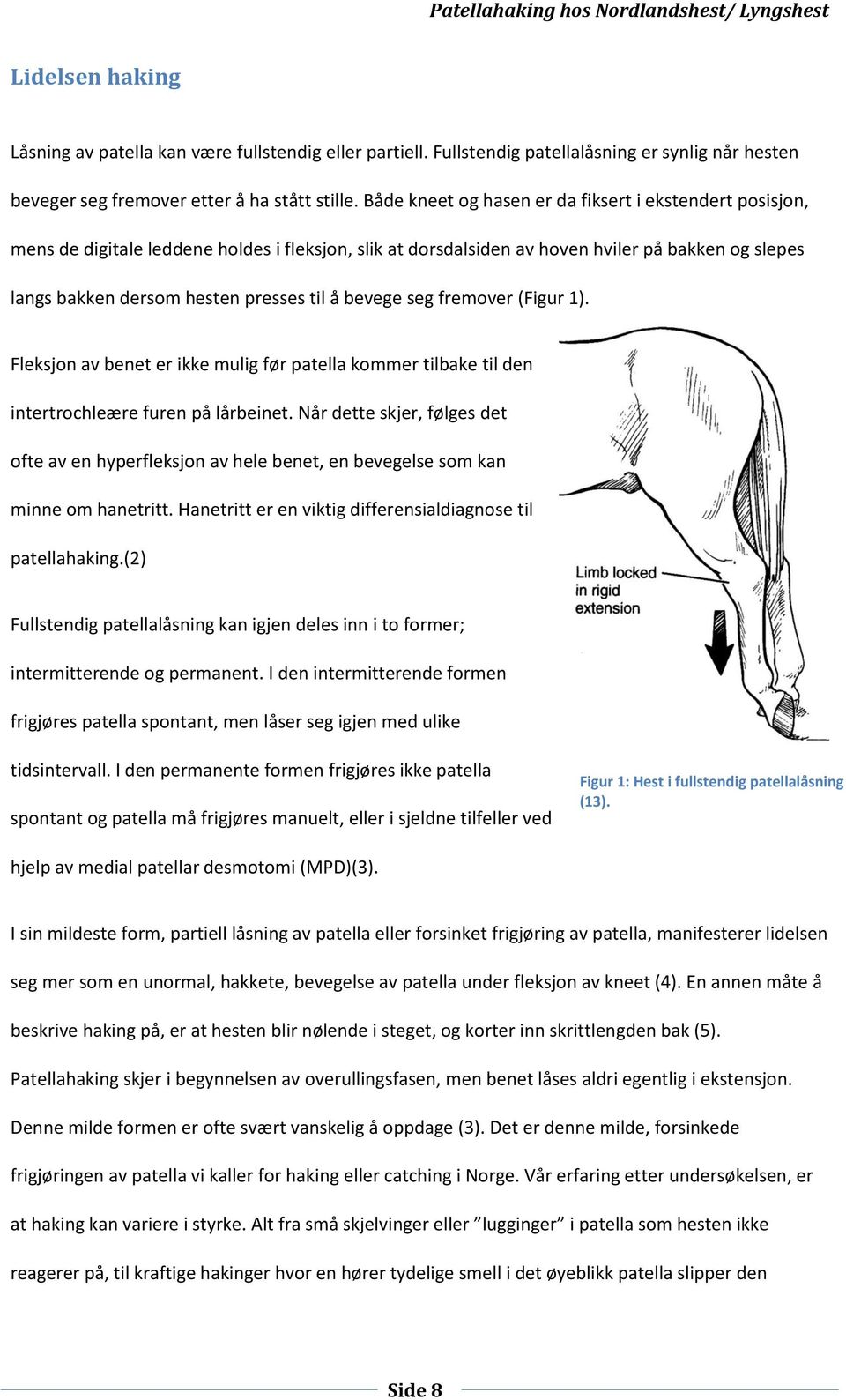 bevege seg fremover (Figur 1). Fleksjon av benet er ikke mulig før patella kommer tilbake til den intertrochleære furen på lårbeinet.