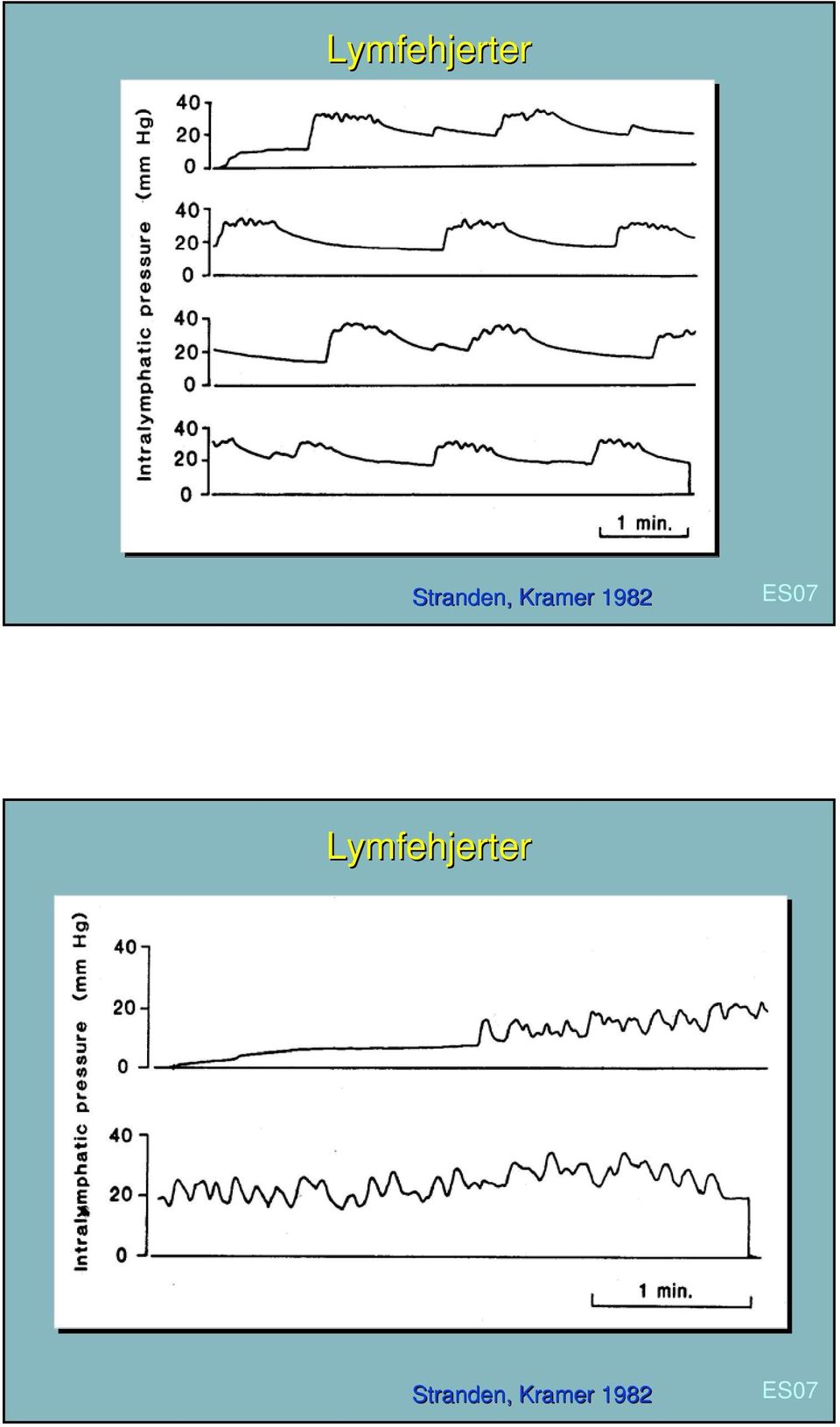 1982 Lymfehjerter