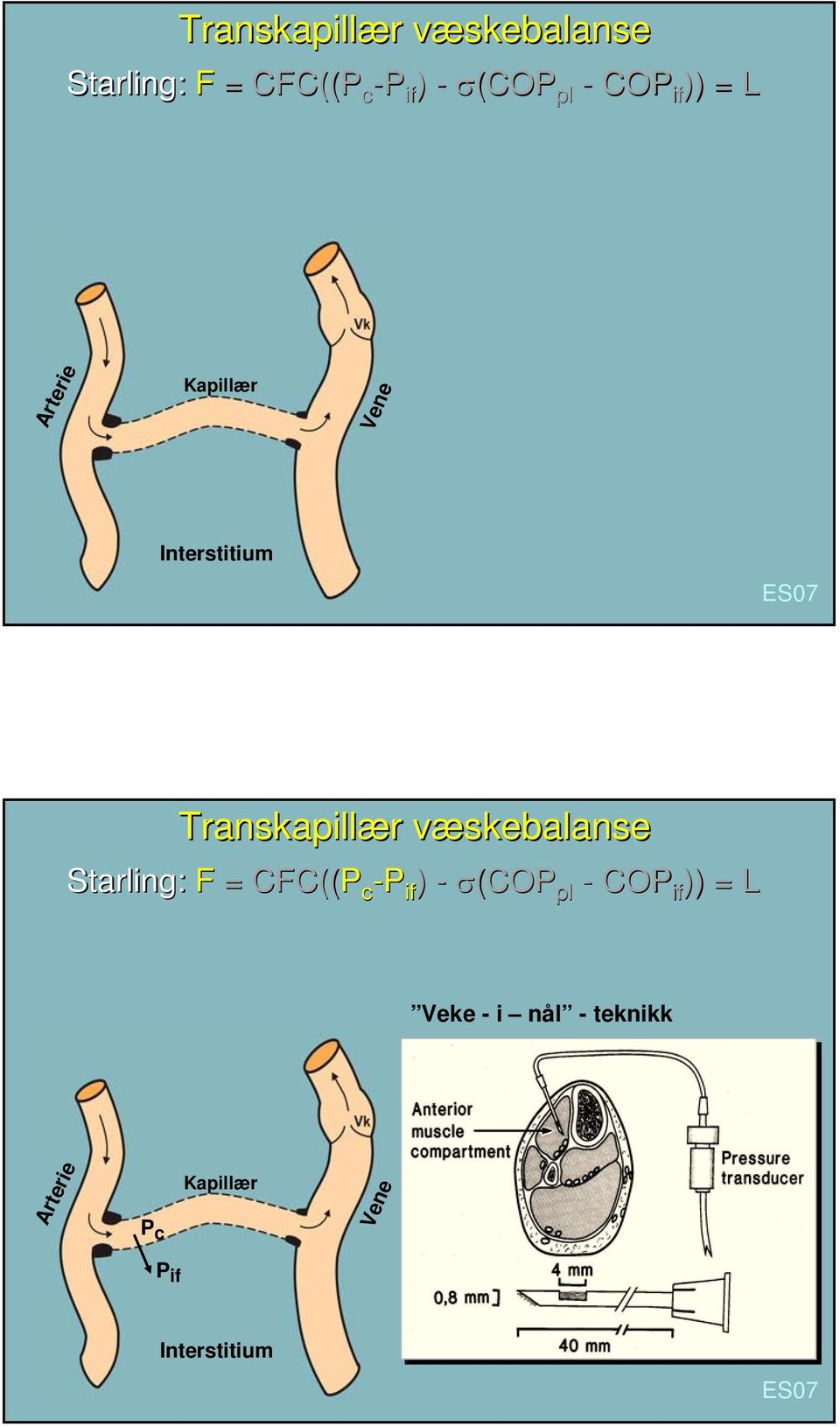 væskebalanse Starling: F = CFC((P c -P if ) - σ(cop pl - COP if )) =