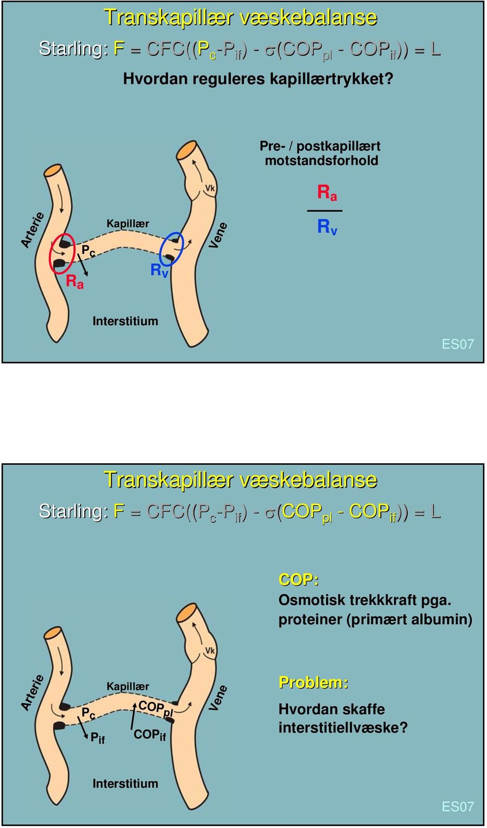 Pre- / postkapillært motstandsforhold R a Arterie P c Kapillær Vene R v R a R v Interstitium Transkapillær