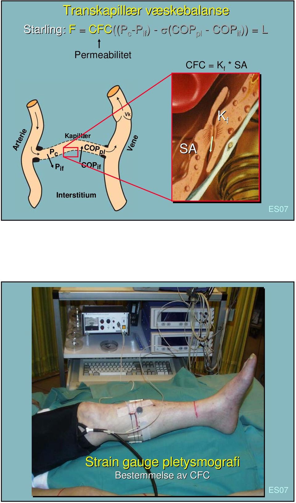 K f Arterie P c Kapillær COP pl Vene SA P if COP if