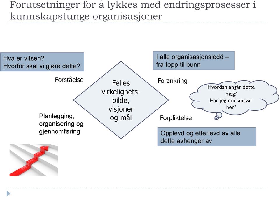 Forståelse Planlegging, organisering og gjennomføring Felles virkelighetsbilde, visjoner og mål