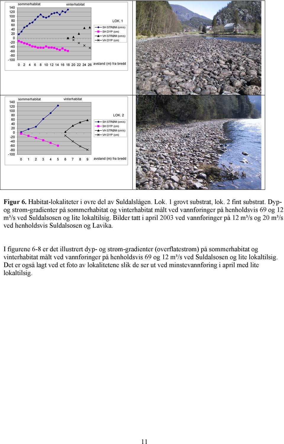 2 SH STRØM (cm/s) SH DYP (cm) VH STRØM (cm/s) VH DYP (cm) avstand (m) fra bredd Figur 6. Habitat-lokaliteter i øvre del av Suldalslågen. Lok. 1 grovt substrat, lok. 2 fint substrat.