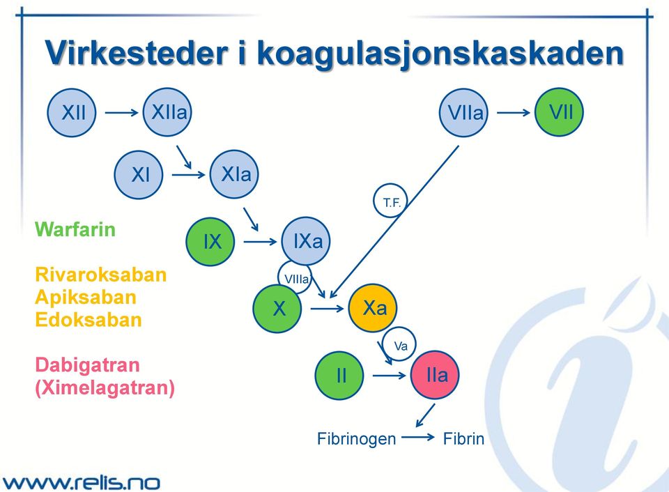 Warfarin IX IXa Rivaroksaban Apiksaban