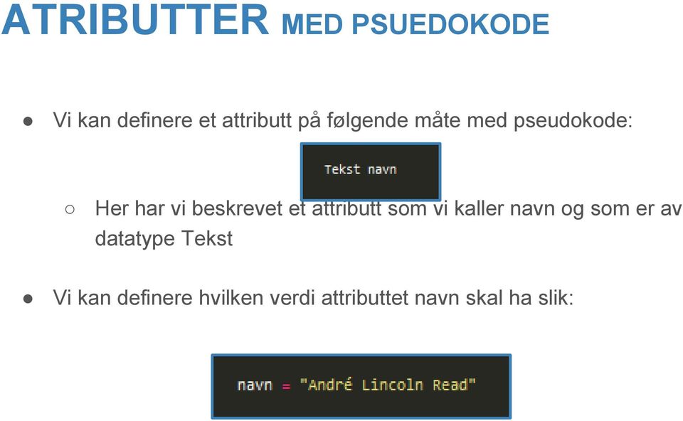 attributt som vi kaller navn og som er av datatype Tekst