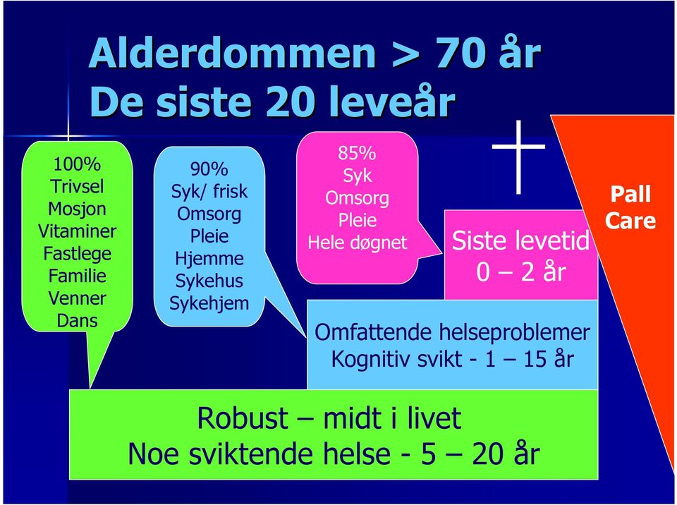 Syk Omsorg Pleie Hele døgnet Siste levetid 0 2 år Omfattende helseproblemer