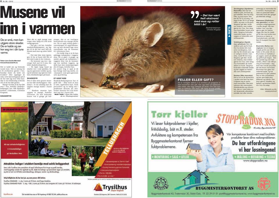 Eller kanskje er du fullstendig uvitende om at du har fått gjester. Mange vet ikke at de har fått mus i hus, forteller skadedyrbekjemper hos ABS Skadedyrkontoll i Lillestrøm, Christian Krogstad.
