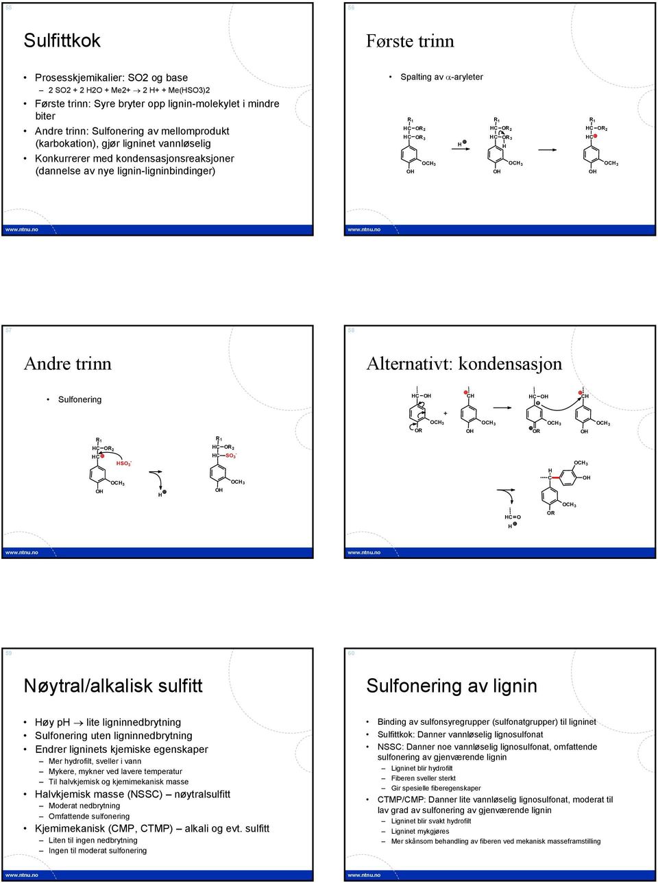 Alternativt: kondensasjon Sulfonering + 3 3 3 3 R R R1 R1 R 2 S3 - R2 - S 3 3 3 3 3 R 59 60 Nøytral/alkalisk sulfitt Sulfonering av lignin øy p lite ligninnedbrytning Sulfonering uten