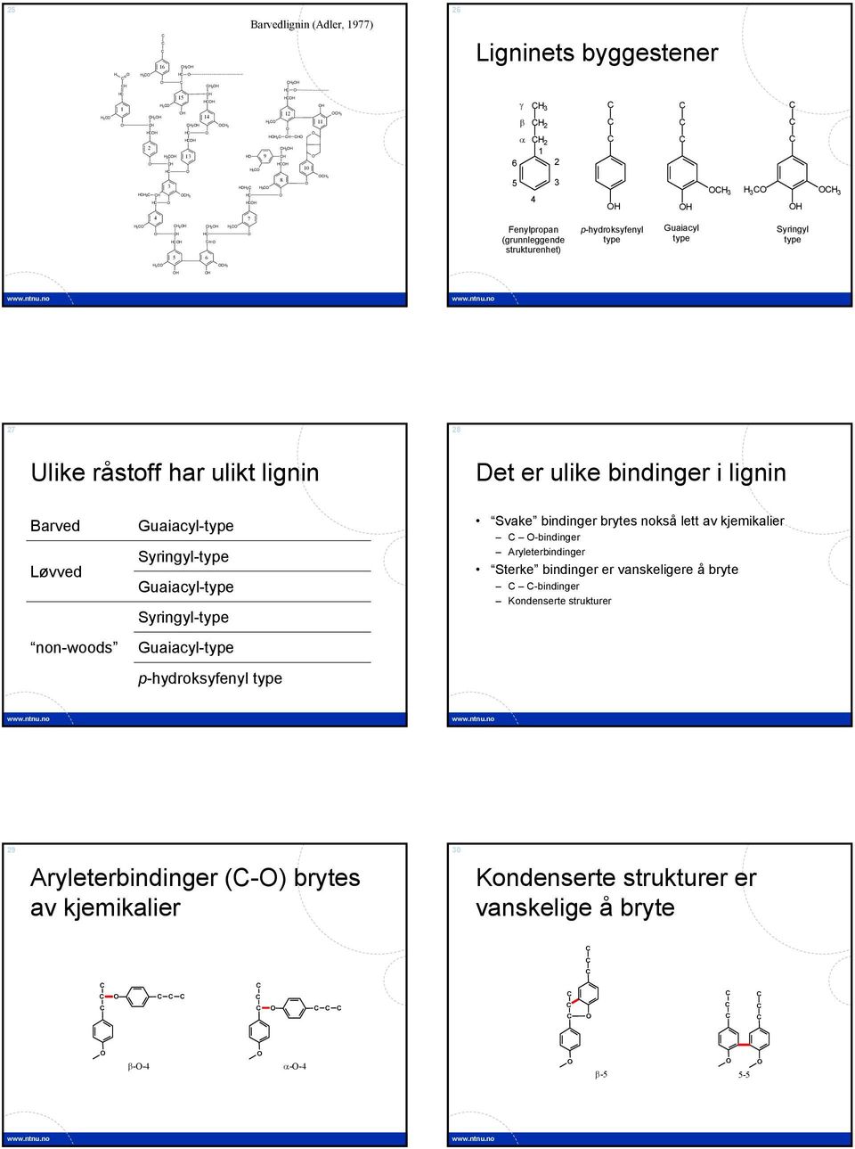 non-woods Guaiacyl-type Syringyl-type Guaiacyl-type Syringyl-type Guaiacyl-type p-hydroksyfenyl type Svake bindinger brytes nokså lett av kjemikalier -bindinger Aryleterbindinger