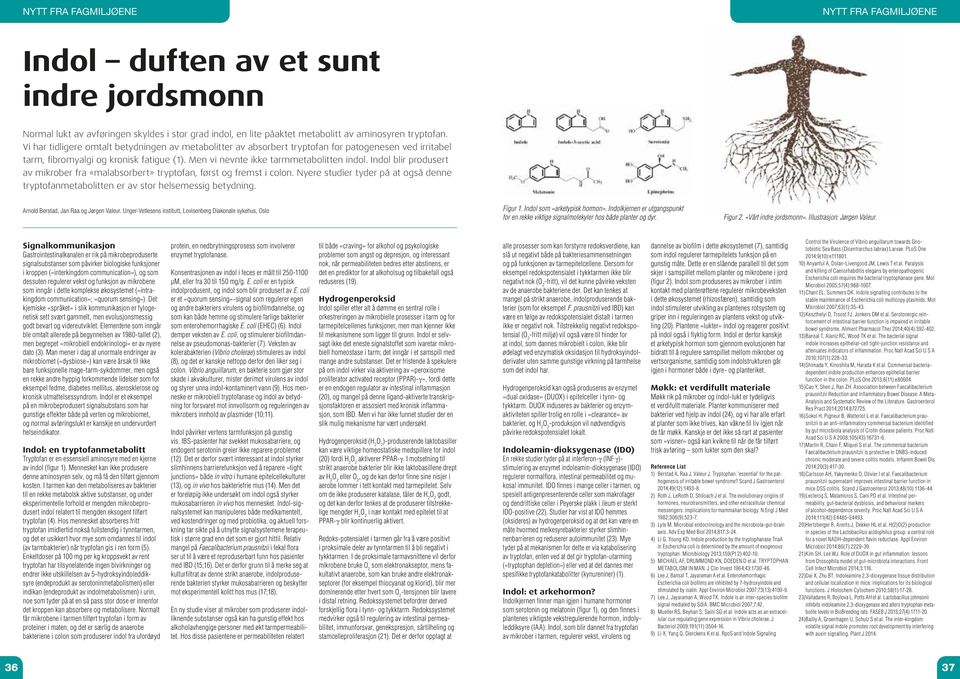 Indol blir produsert av mikrober fra «malabsorbert» tryptofan, først og fremst i colon. Nyere studier tyder på at også denne tryptofanmetabolitten er av stor helsemessig betydning.