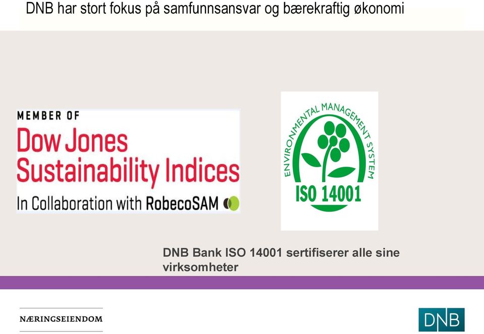 bærekraftig økonomi DNB Bank