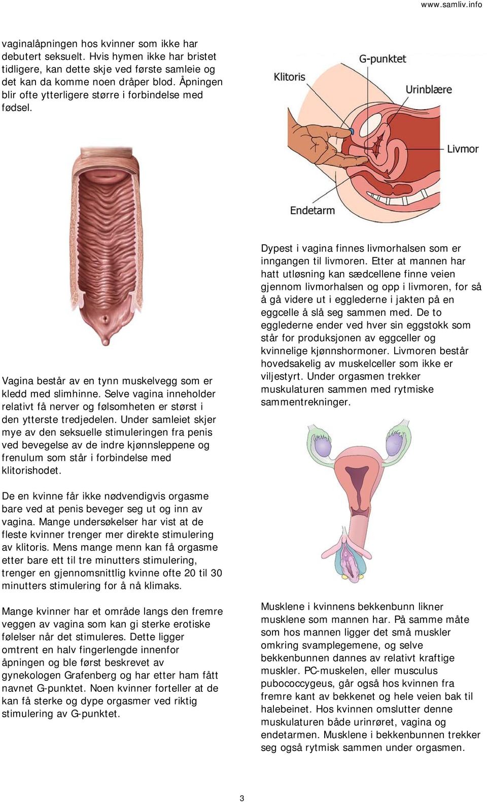 Selve vagina inneholder relativt få nerver og følsomheten er størst i den ytterste tredjedelen.