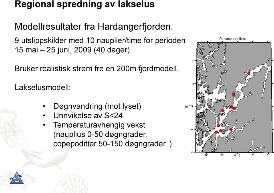 Bruker realistisk strøm fre en 200m fjordmodell.