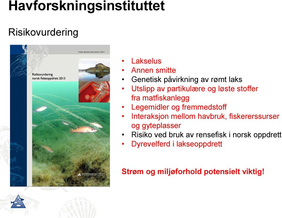 fremmedstoff Interaksjon mellom havbruk, fiskererssurser og gyteplasser Risiko ved bruk