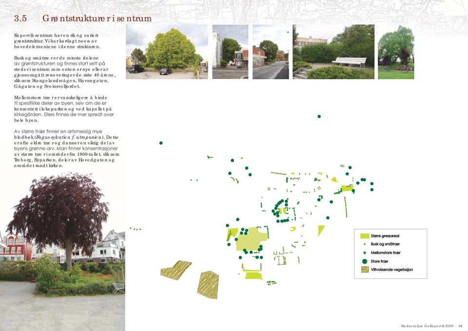 Havnegaten, Gågaten og Sveinsvolljordet. Mellomstore trær er vanskeligere å binde til spesifikke deler av byen, selv om de er konsentert i lekeparken og ved kapellet på kirkegården.