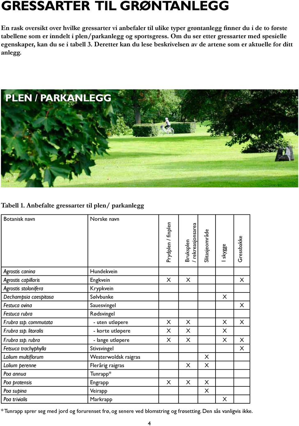 Anbefalte gressarter til plen/ parkanlegg Botanisk navn Norske navn Prydplen / finplen Bruksplen / rekreasjonsarea Slitasjeområde I skygge Gressbakke Agrostis canina Hundekvein Agrostis capillaris