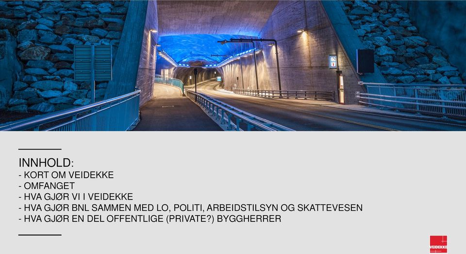 LO, POLITI, ARBEIDSTILSYN OG SKATTEVESEN -