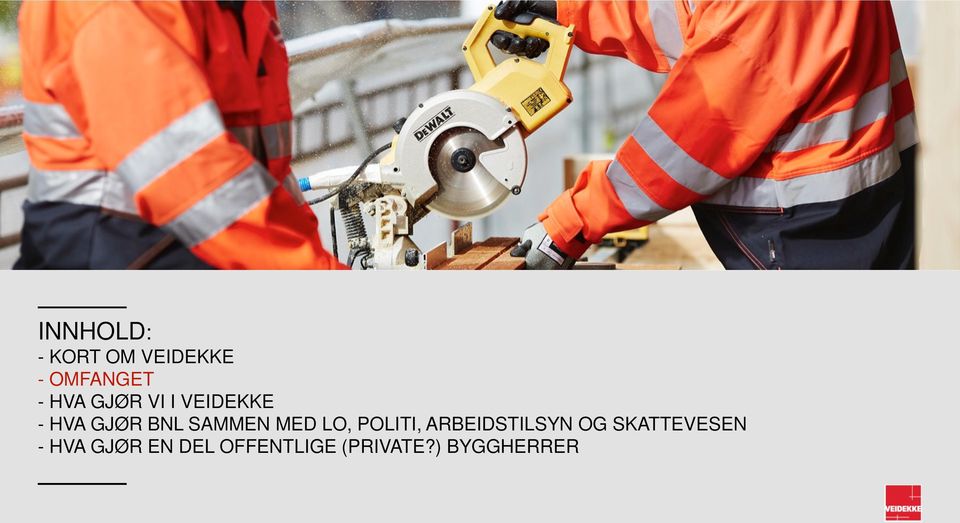 LO, POLITI, ARBEIDSTILSYN OG SKATTEVESEN -