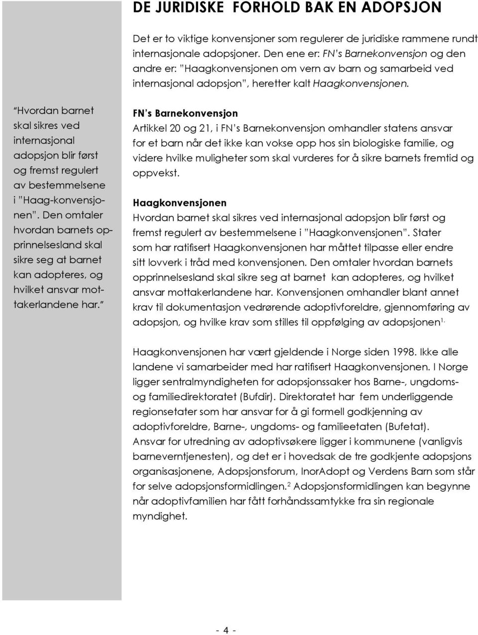 Hvordan barnet skal sikres ved internasjonal adopsjon blir først og fremst regulert av bestemmelsene i Haag-konvensjonen.