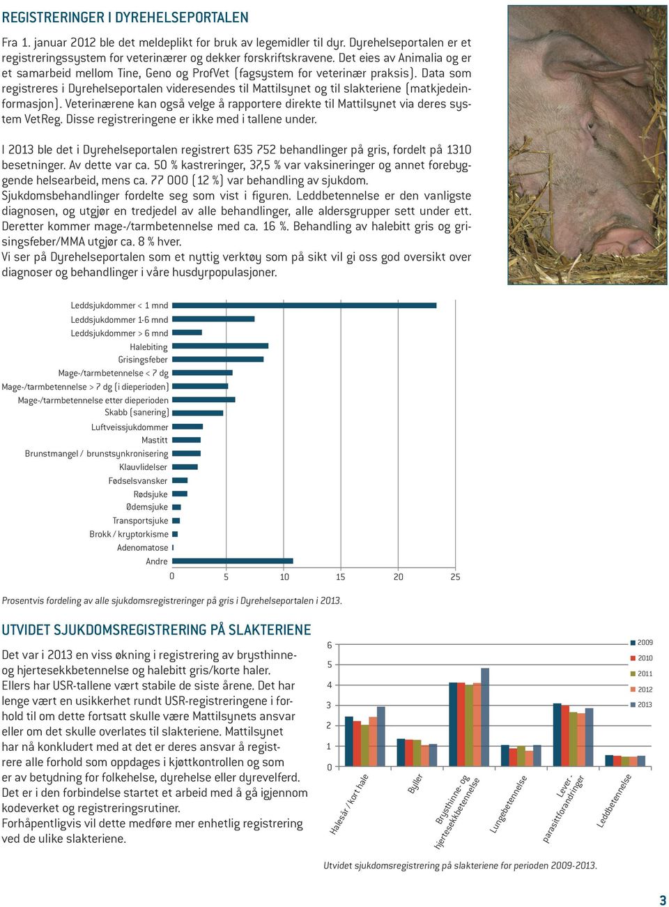 Data som registreres i Dyrehelseportalen videresendes til Mattilsynet og til slakteriene (matkjedeinformasjon).