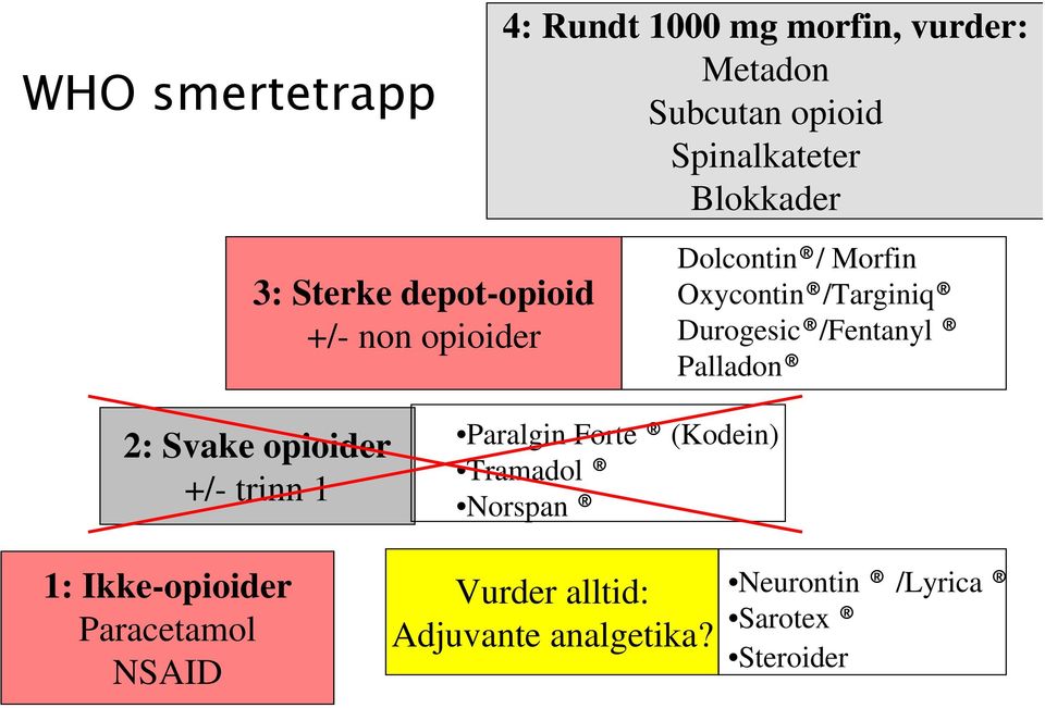 Durogesic /Fentanyl Palladon 2: Svake opioider +/- trinn 1 Paralgin Forte (Kodein) Tramadol