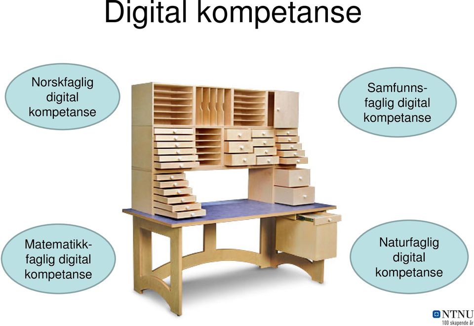 digital kompetanse Matematikkfaglig