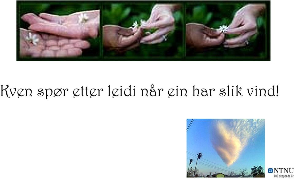 leidi når