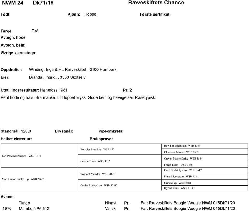 Stangmål: 120,0 Helhet eksteriør: Brystmål: Pipeomkrets: Far: Pendock Playboy WSB 1813 Mor: Ceulan Lucky Dip WSB 24665 Bowdler Blue Boy WSB 1571 Craven Tosca WSB 8912 Twyford Matador WSB 2893 Ceulan