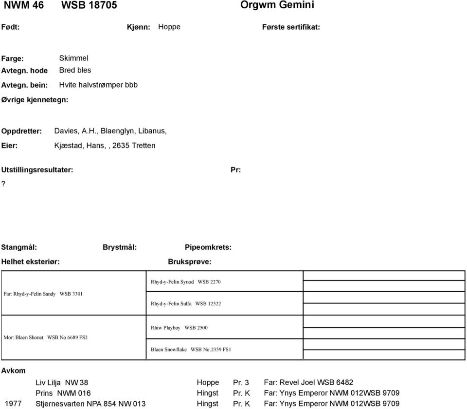 No.6689 FS2 Rhiw Playboy WSB 2500 Blaen Snowflake WSB No.2359 FS1 Liv Lilja NW 38 Hoppe Pr. 3 Far: Revel Joel WSB 6482 Prins NWM 016 Hingst Pr.
