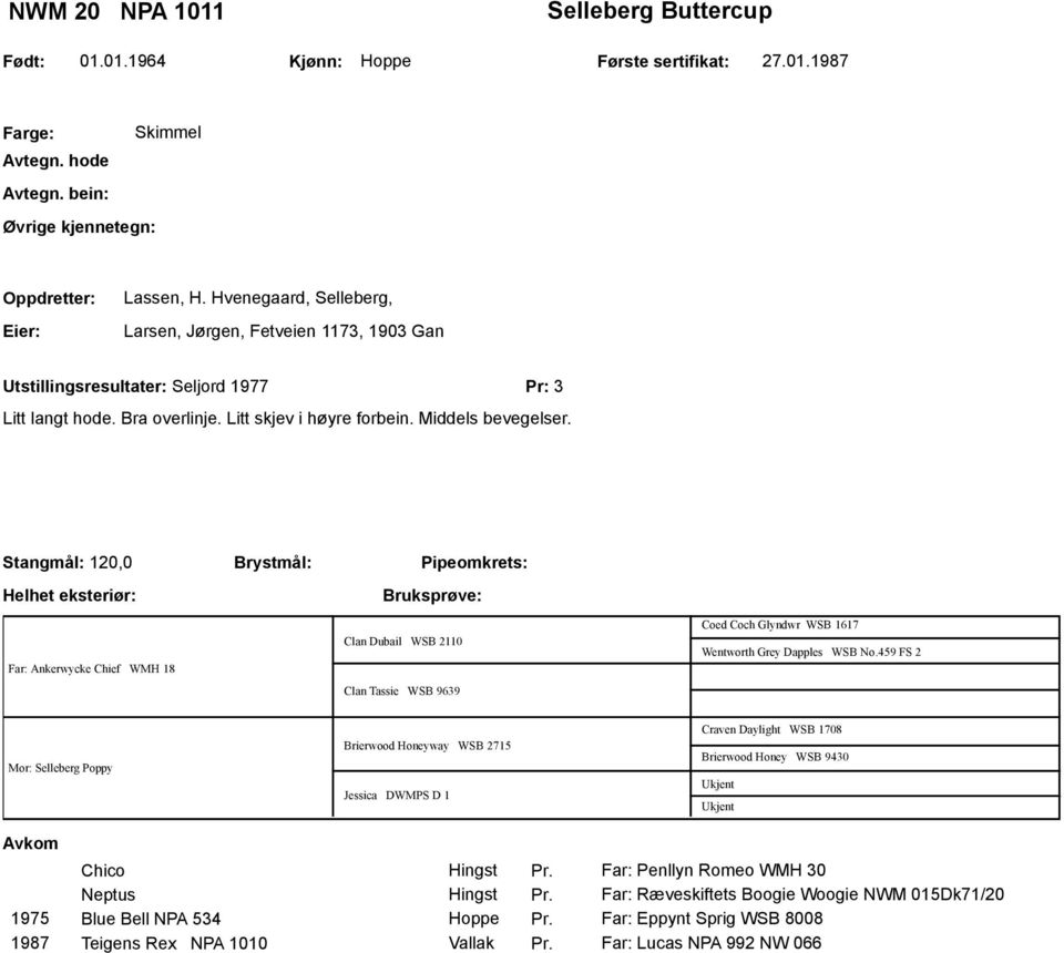 Stangmål: 120,0 Helhet eksteriør: Brystmål: Pipeomkrets: Far: Ankerwycke Chief WMH 18 Clan Dubail WSB 2110 Clan Tassie WSB 9639 Coed Coch Glyndwr WSB 1617 Wentworth Grey Dapples WSB No.