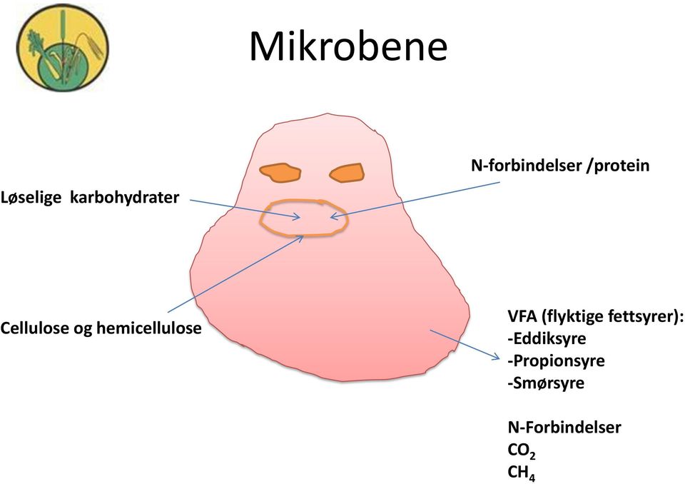 hemicellulose VFA (flyktige fettsyrer):