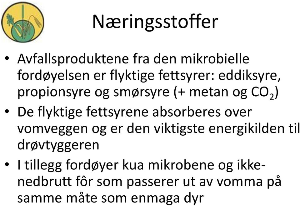 fettsyrene absorberes over vomveggen og er den viktigste energikilden til drøvtyggeren