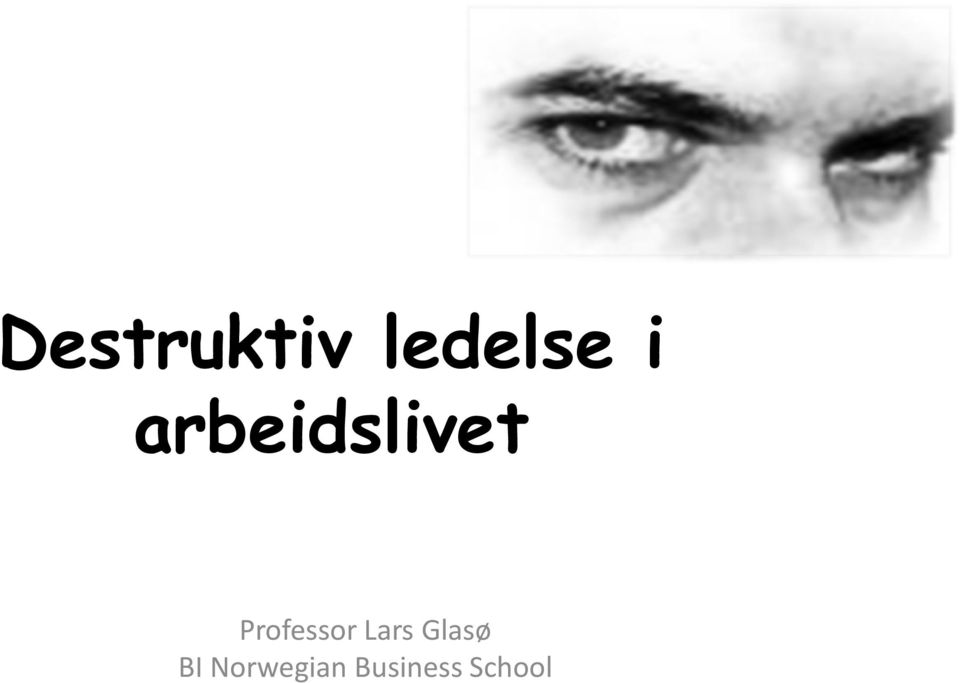 Professor Lars Glasø