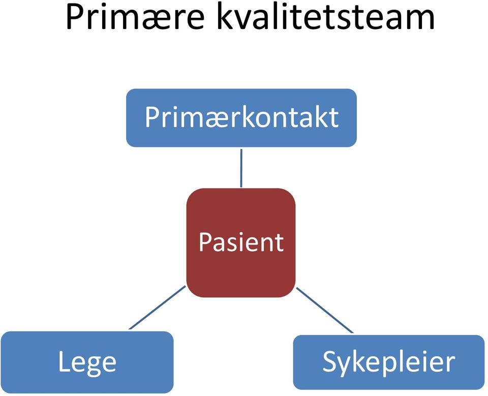 Primærkontakt