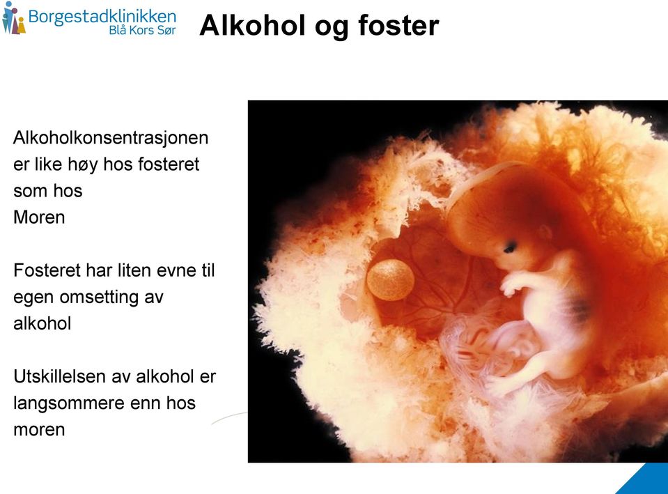 har liten evne til egen omsetting av alkohol