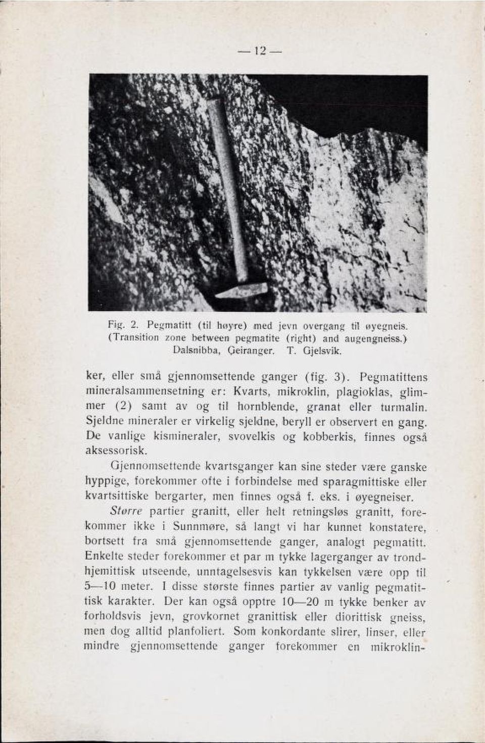 Sjeldne mineraler er virkelig sjeldne, beryll er observert en gang. De vanlige kismineraler, svovelkis og kobberkis, finnes også aksessorisk.