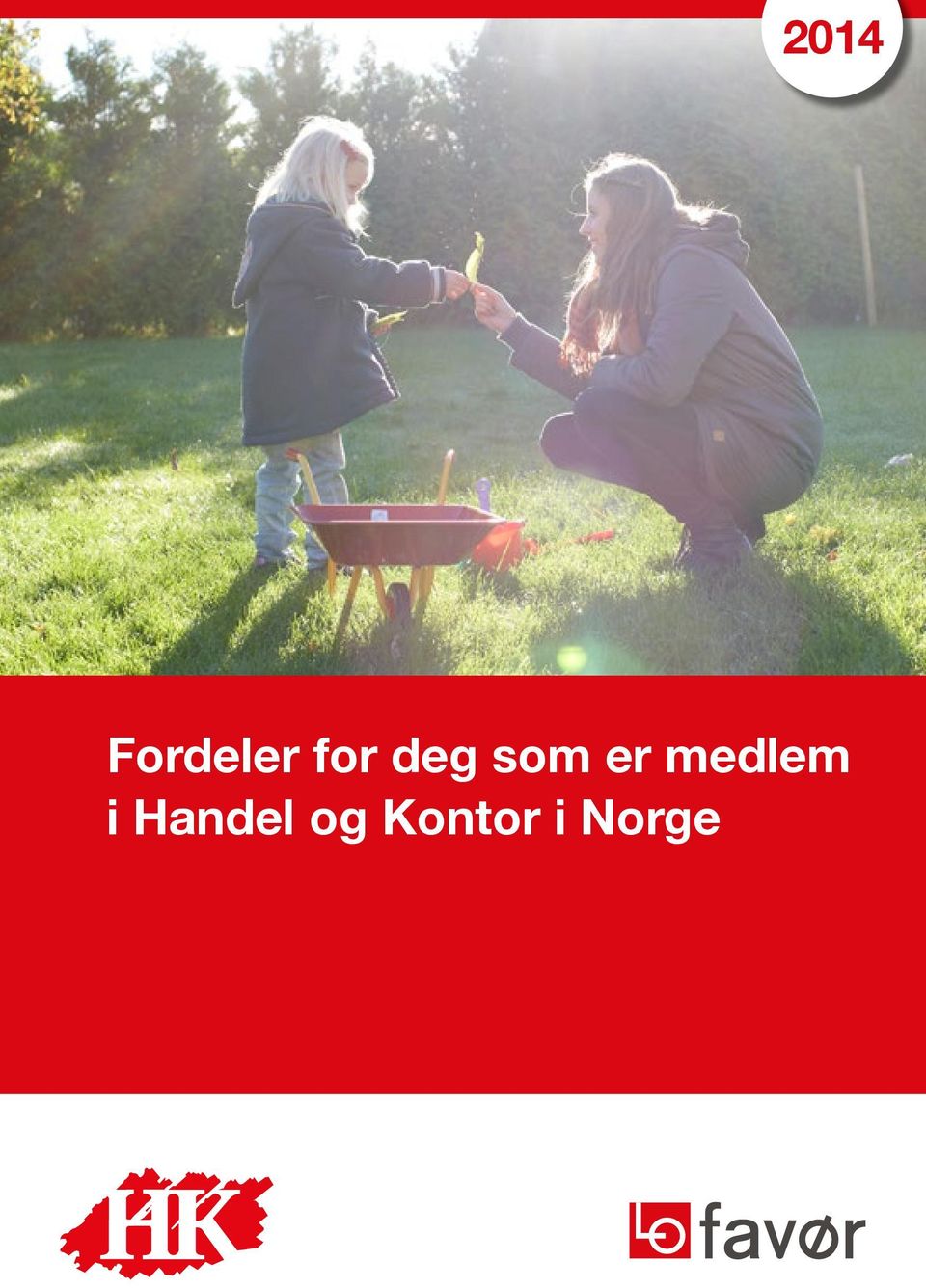 medlem i Handel