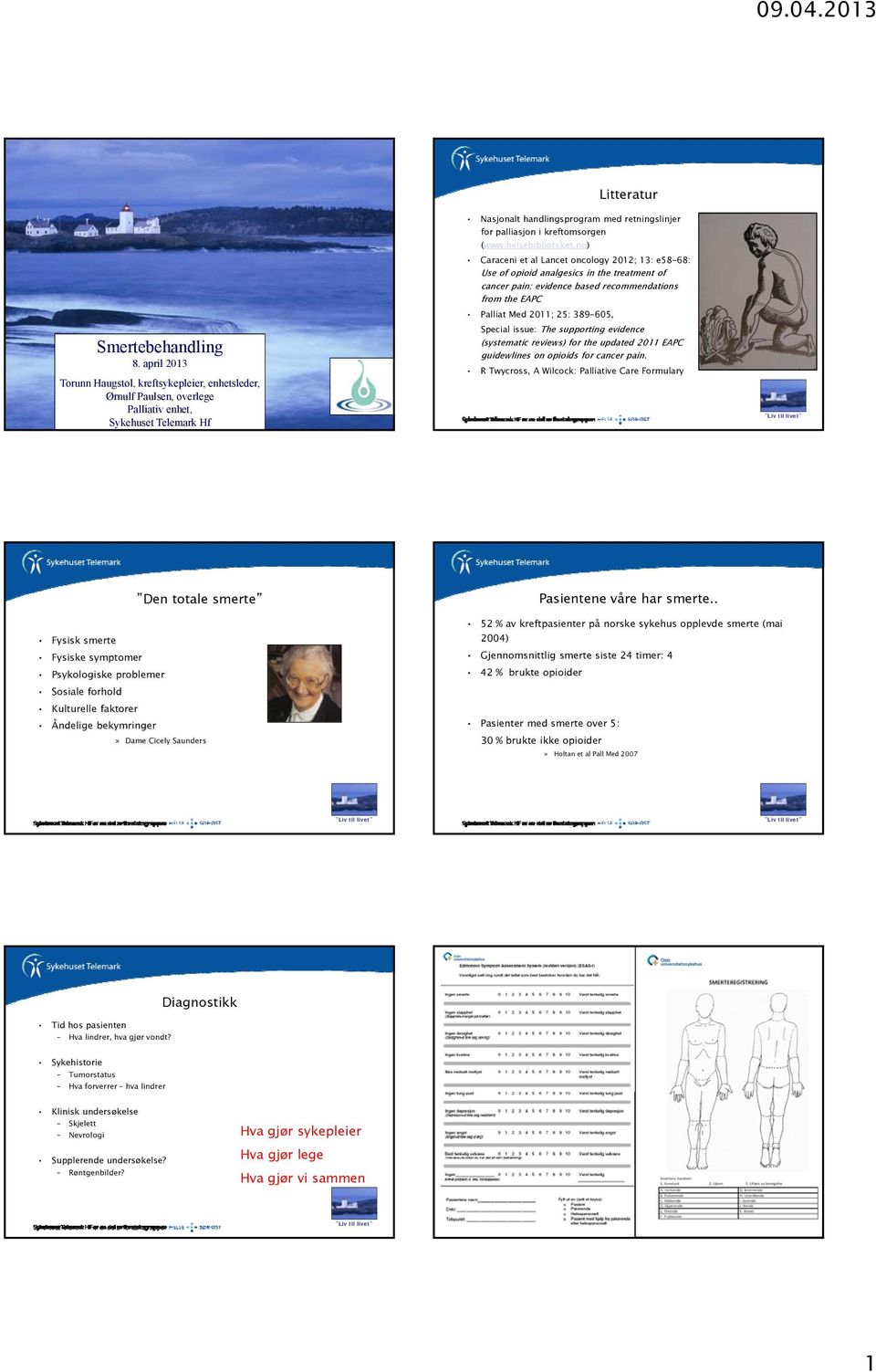 april 2013 Torunn Haugstøl, kreftsykepleier, enhetsleder, Ørnulf Paulsen, overlege Palliativ enhet, Sykehuset Telemark Hf Special issue: The supporting evidence (systematic reviews) for the updated