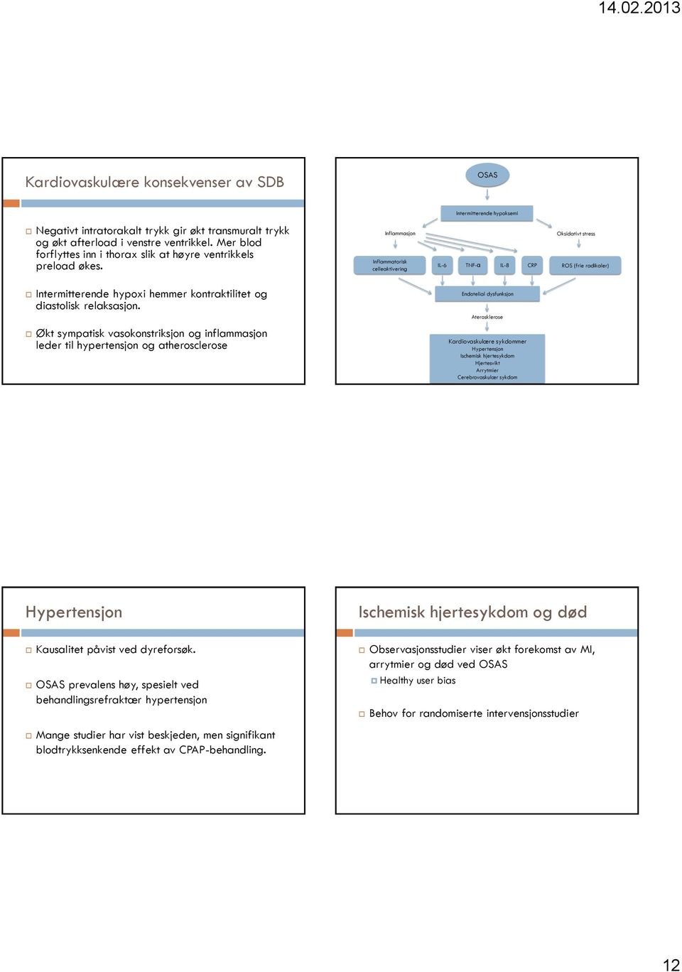 Inflammasjon Inflammatorisk celleaktivering IL-6 TNF-α IL-8 CRP Oksidativt stress ROS (frie radikaler) Intermitterende hypoxi hemmer kontraktilitet og diastolisk relaksasjon.